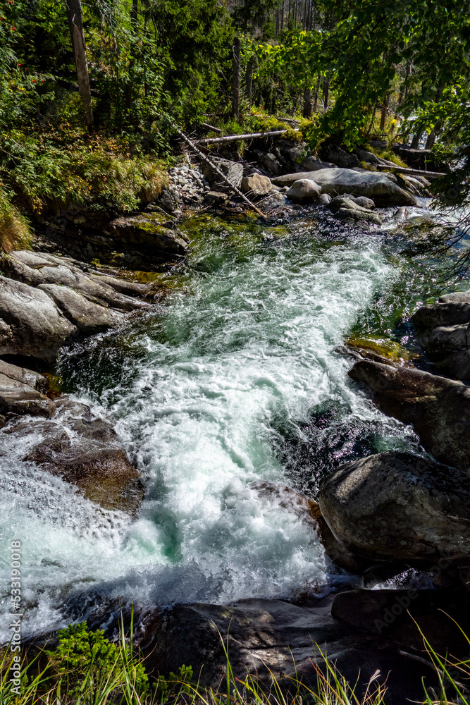 Fototapeta premium A river called a cold stream in the Tatras in a beautiful mountain nature