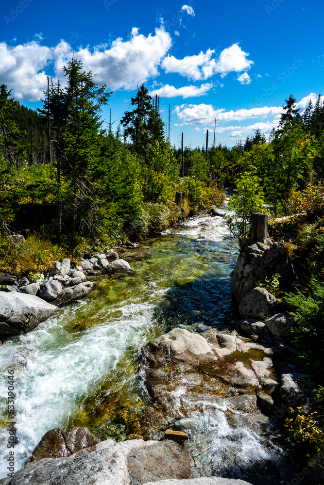 A river called a cold stream in the Tatras in a beautiful mountain nature A river called a cold stream in the Tatras in a beautiful mountain nature