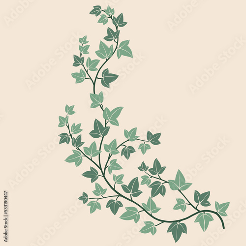 Simplicity ivy freehand drawing flat design.