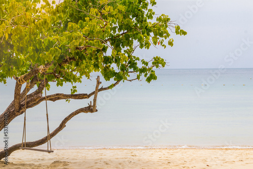 Fototapeta Naklejka Na Ścianę i Meble -  Wooden swing on tree in tropical sea with bright sunlight