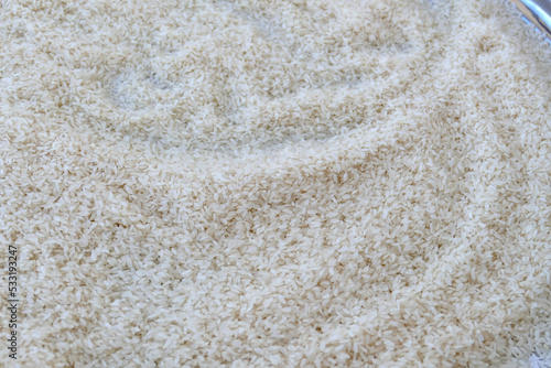 large rice,rice for making pilaf close-up,baldo rice,