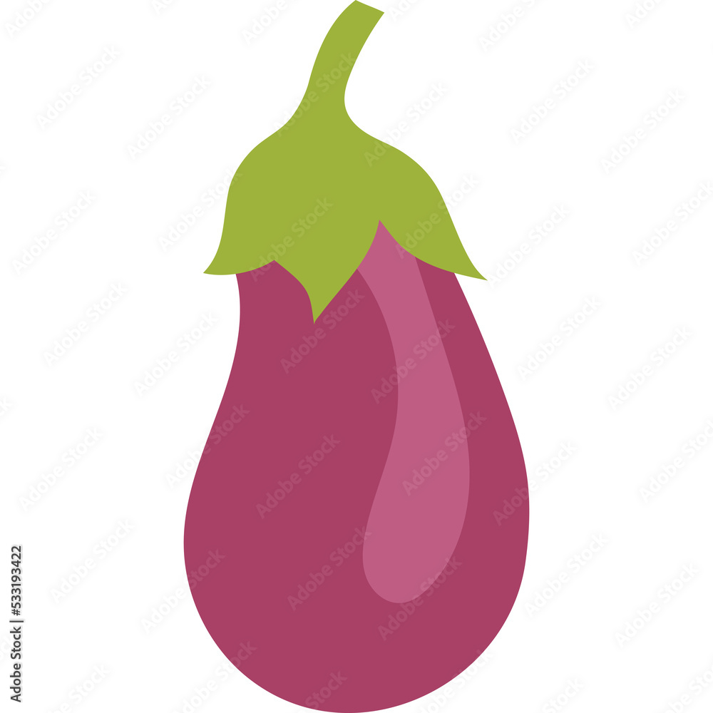 eggplant vegetable eggplant vegetable