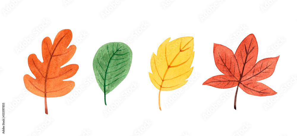 Obraz premium Watercolor leaves set. Hand drawn autumn illustration, isolated on white background