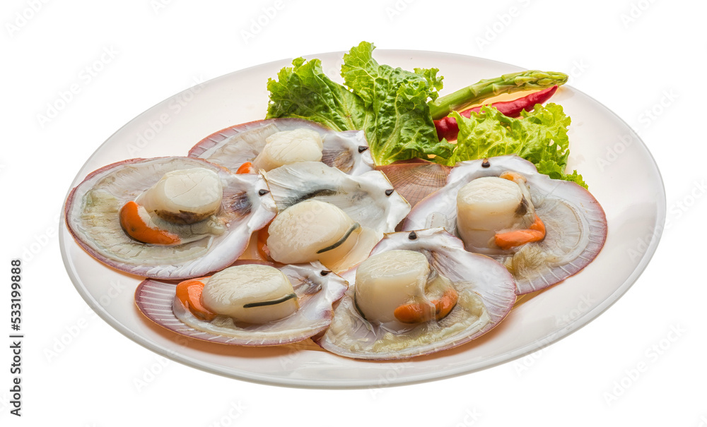 Raw fresh scallop Raw fresh scallop