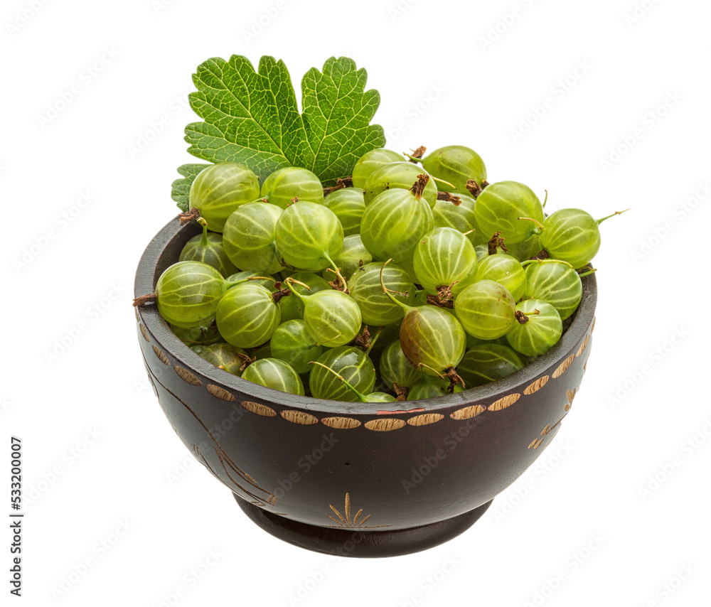 Gooseberry Gooseberry