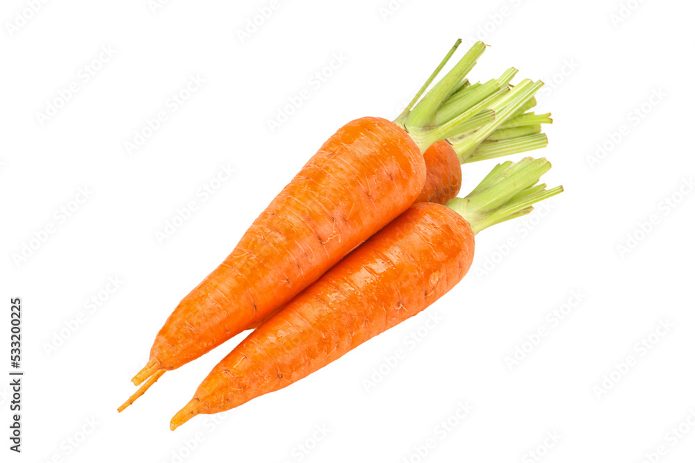Three Young fresh ripe carrot - obrazy, fototapety, plakaty 