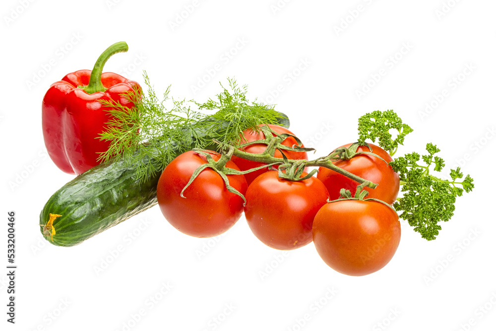Red ripe tomatoes on the branch Red ripe tomatoes on the branch