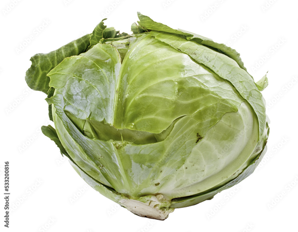 Cabbage isolated on white Cabbage isolated on white