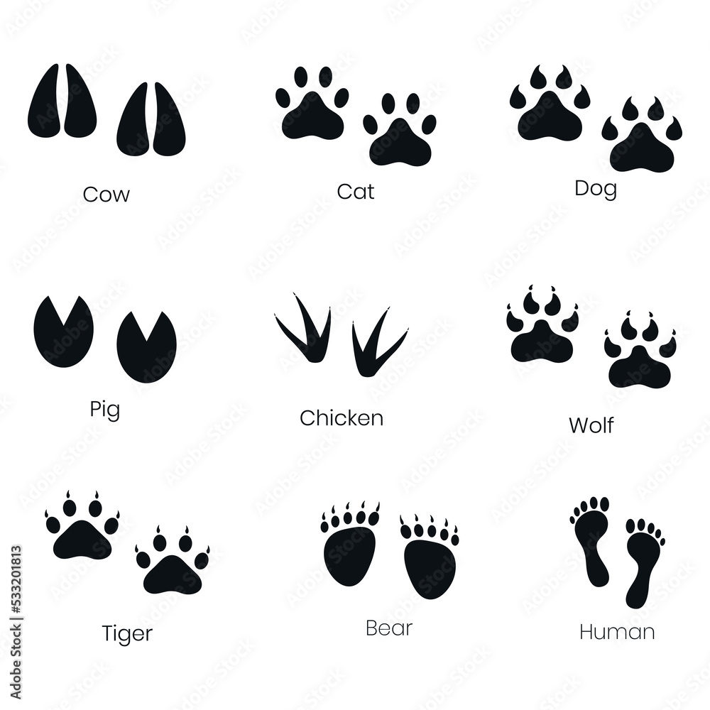 Fototapeta premium Animals paw silhouette. Vector illustration