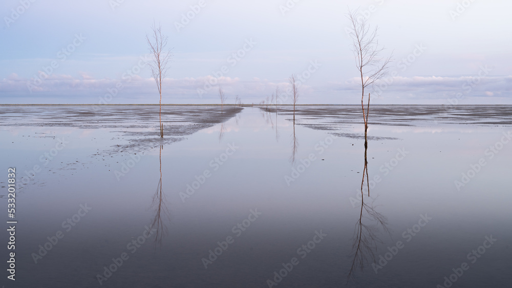 Footpath to Island Mandø under Water, Denmark Footpath to Island Mandø under Water, Denmark
