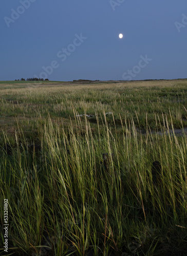 Coastal Grasslands at Night, Denmark