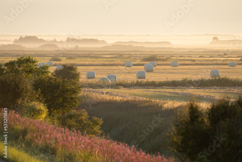 Bales of Straw at Dawn, Denmark