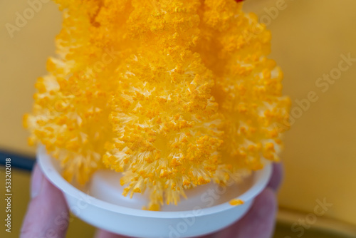 orange crystal with branches of carbamide and polyvinyl alcohol with yellow dye photo
