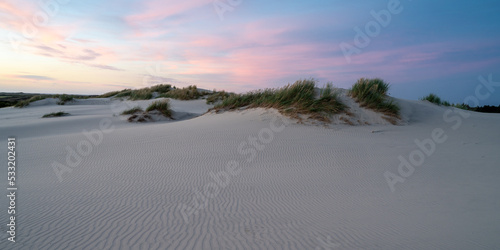 Migrating Coastal Dune Råbjerg Mile, Denmark