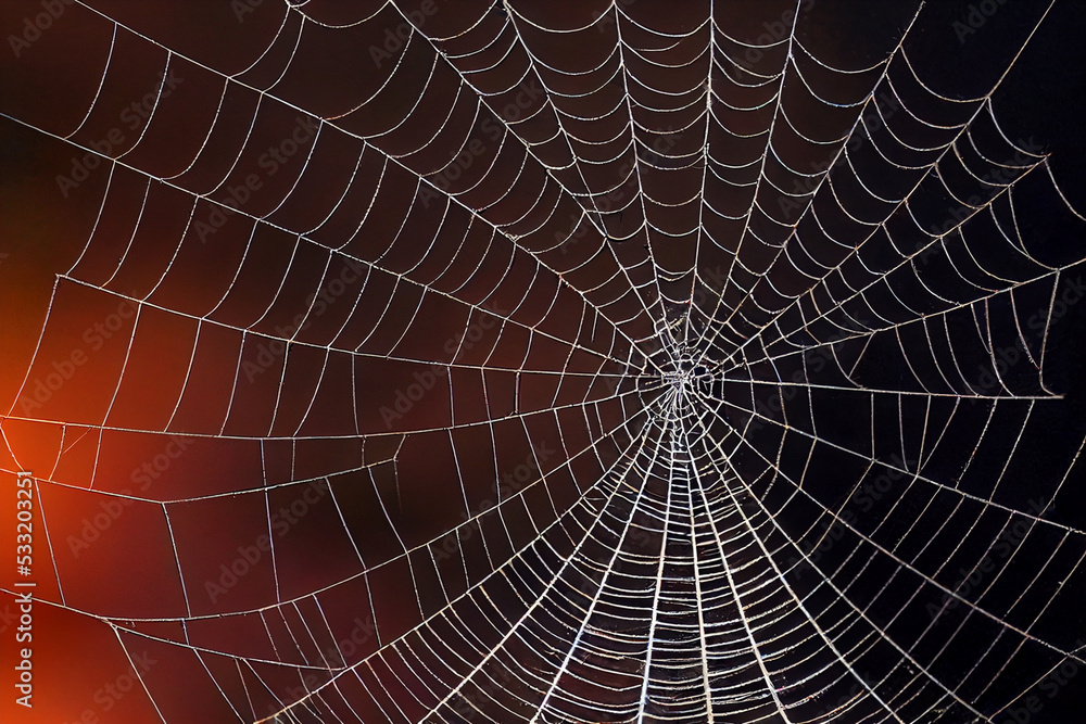 Halloween spider web, digital art