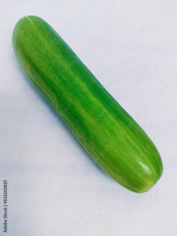 Cucumber (concombre)