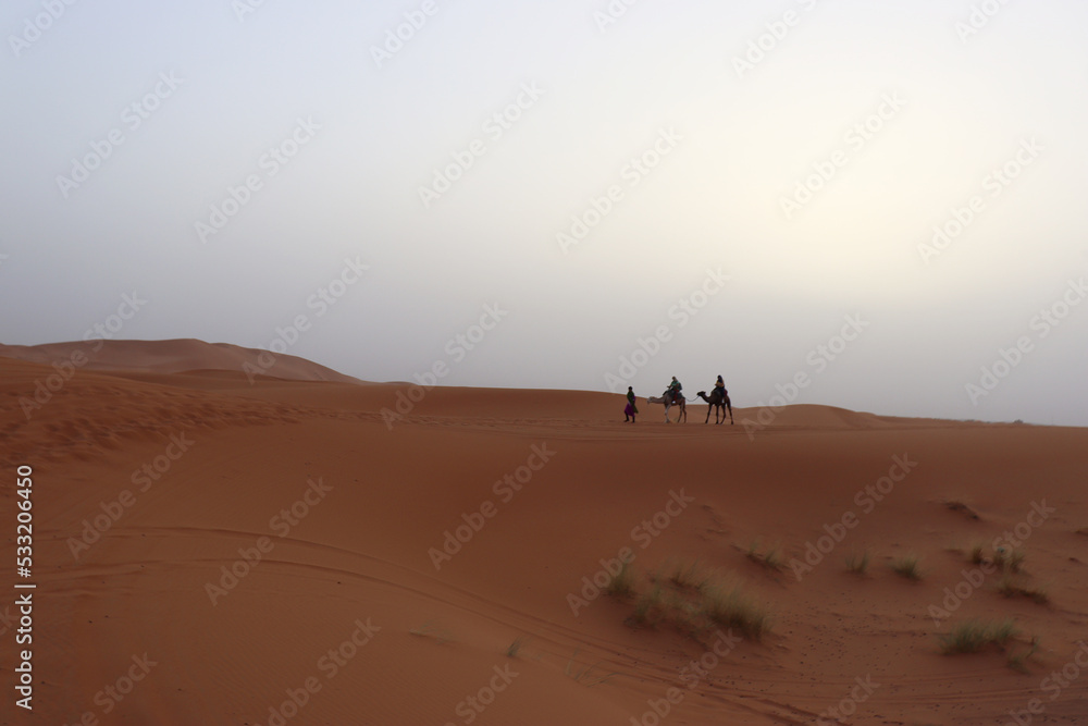 People riding a dromedary in the desert of Merzouga (Morocco)