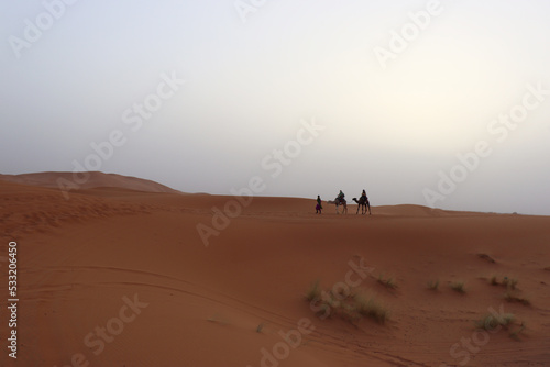 People riding a dromedary in the desert of Merzouga  Morocco 