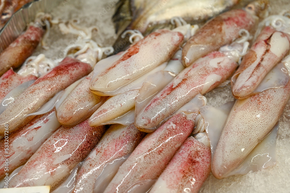 Fresh squid for sale in market. Seafood on ice in street market. Calamari.