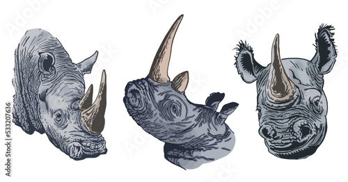 Color big set of rhinoceroses on white isolated, vector illustration,graphical drawing. Stylish print elements, savanna habitant