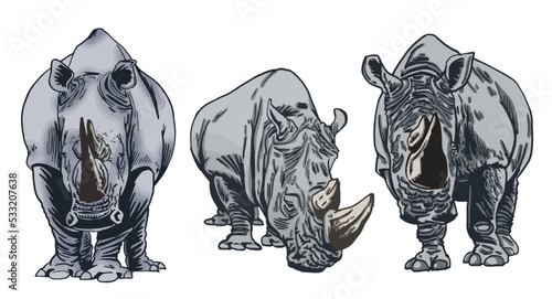 Color big set of rhinoceroses on white isolated, vector illustration,graphical drawing. Stylish print elements, savanna habitant