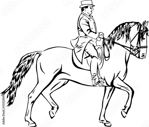 Fototapeta Naklejka Na Ścianę i Meble -  Baroque dressage horse, black outline vector illustrations 