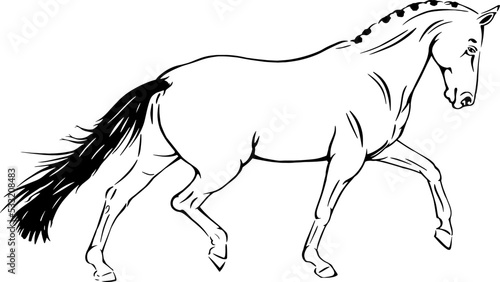 horse trotting, outline vector  