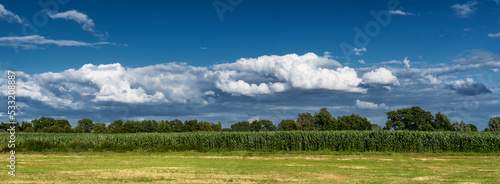 Panorama of a corn field with an impressive cloudy sky