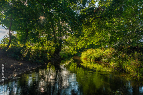 Rakovnicky creek with color trees and yellow sunny color © luzkovyvagon.cz