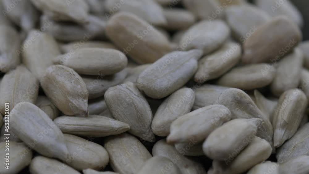 peeled sunflower seeds rotate in a circle peeled sunflower seeds rotate in a circle