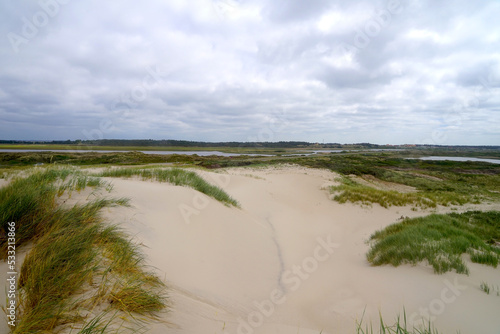 Fototapeta Naklejka Na Ścianę i Meble -  view from the dunes on the danish north sea coast at Nymindegab inland over the trout lake nymindegab ørreddam