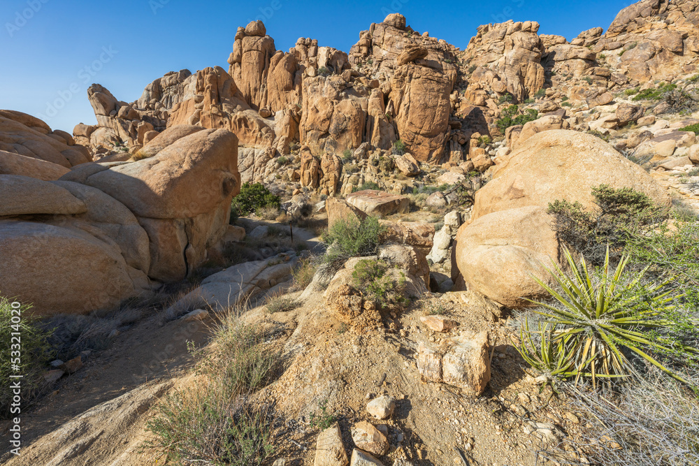 hiking maze loop trail in the joshua tree national park, usa