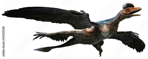 Fotografie Microraptor from the Cretaceous era 3D illustration