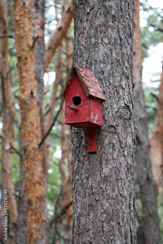 Fototapeta Naklejka Na Ścianę i Meble -  birdhouse on a tree