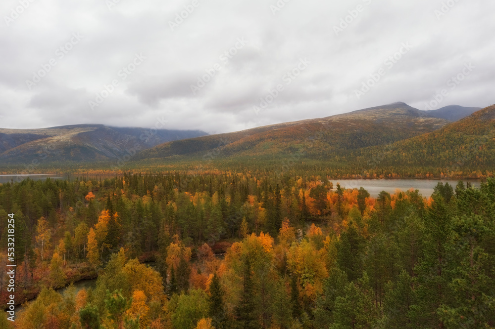 Golden autumn in the Arctic mountains beyond the Arctic Circle. view from above of a beautiful lake and yellow birch trees