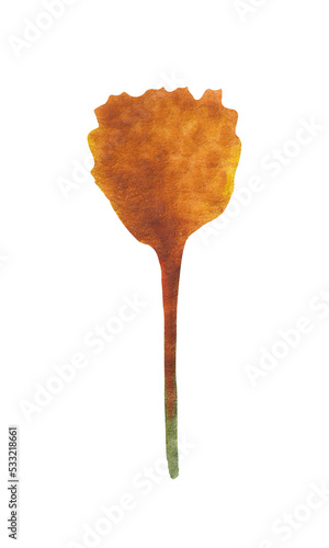 Obraz na plátně Isolated element on a white background