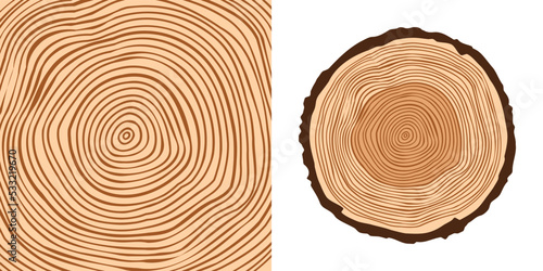 Round tree trunk cut, sawn pine or oak slice. Saw cut timber, wood. Brown wooden texture with tree rings. Hand drawn sketch. Vector illustration