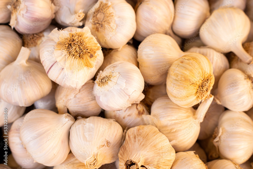 Organic white garlic on the market - Allium sativum Organic white garlic on the market - Allium sativum