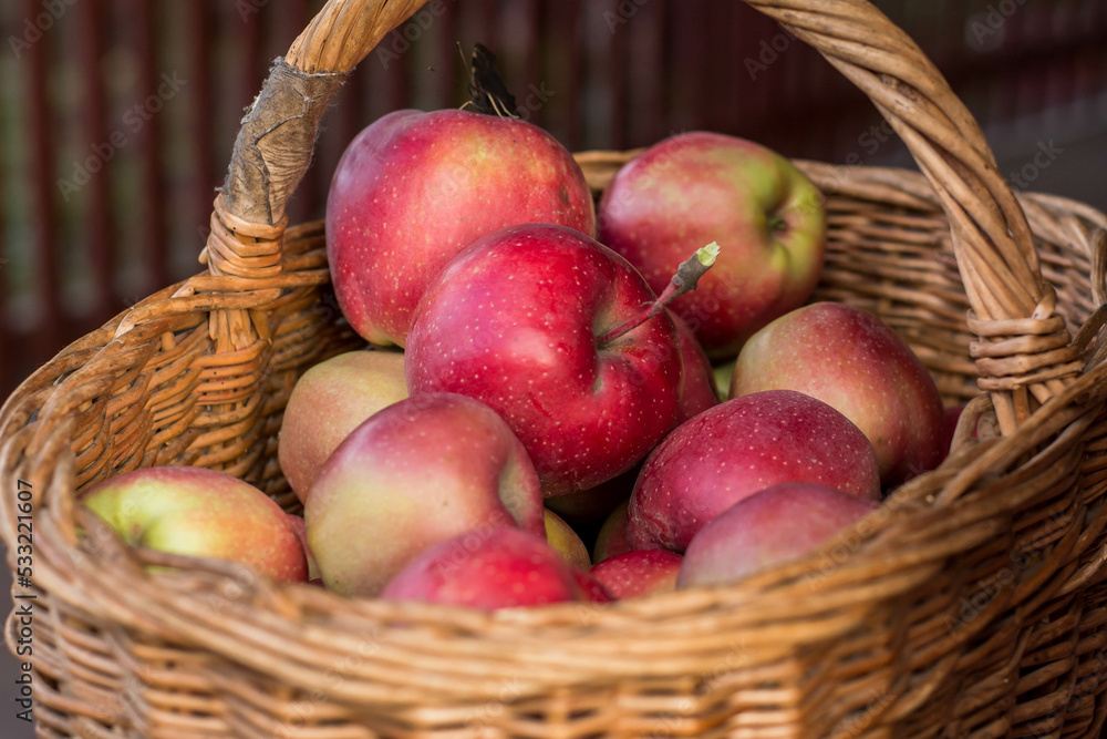 apples in basket apples in basket
