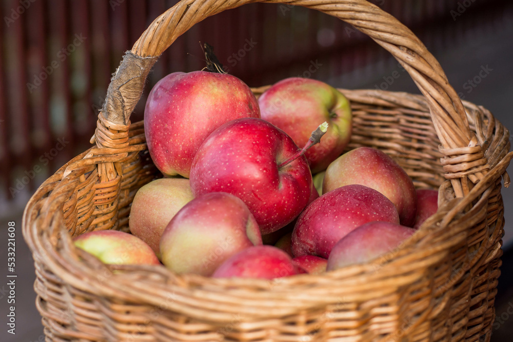 apples in basket