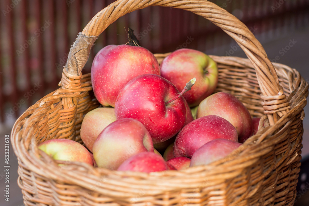 apples in basket apples in basket