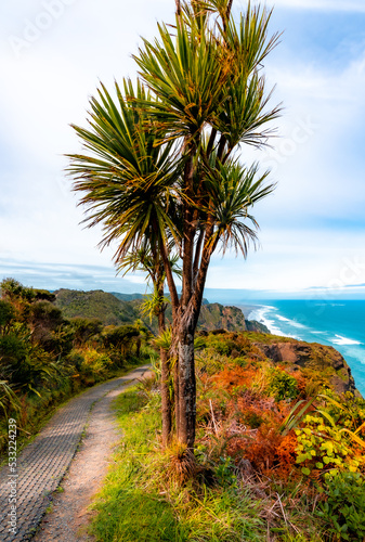 Amazing views on coastal track hiking on mountain side at Mercer Bay, New Zealand © Kritz Workroom NZ