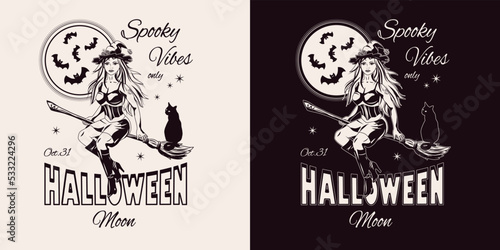 Emblem with young beautiful witch flying on broomstick, silhouette of bats, full moon behind, text Halloween moon, spooke vibes. Monochrome illustration in vintage style.