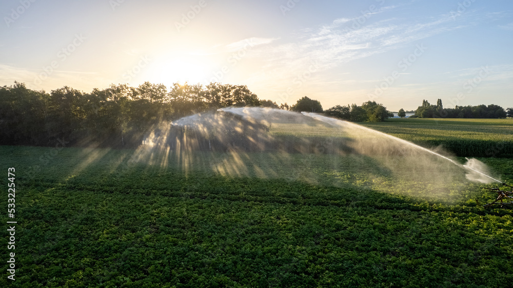 Aerial view by a drone of a potato field being irrigated by a gigantic and powerful irrigation system. High quality photo Aerial view by a drone of a potato field being irrigated by a gigantic and powerful irrigation system. High quality photo