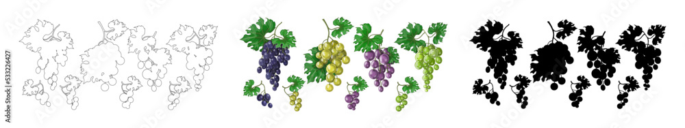 Large and small bunches of grapes in outline, cartoon and black silhouette style. Set of grapes on a bunch with leaves. Stock vector illustration, isolated on white background. Large and small bunches of grapes in outline, cartoon and black silhouette style. Set of grapes on a bunch with leaves. Stock vector illustration, isolated on white background.