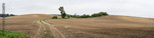 Agriculture. Freshly plowed field. Autumn landscape. Panoramic view.