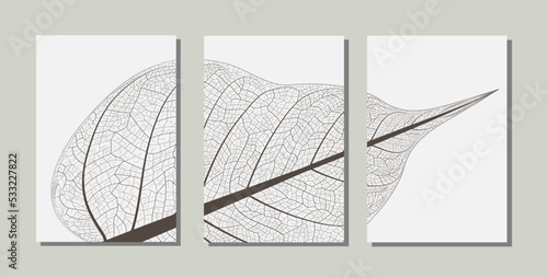 Tablou pe pânză Triptych of structure of dry leaf texture background