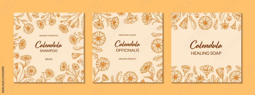 Set of calendula frames with hand drawn elements. Vector illustration in sketch style. Vintage packaging design