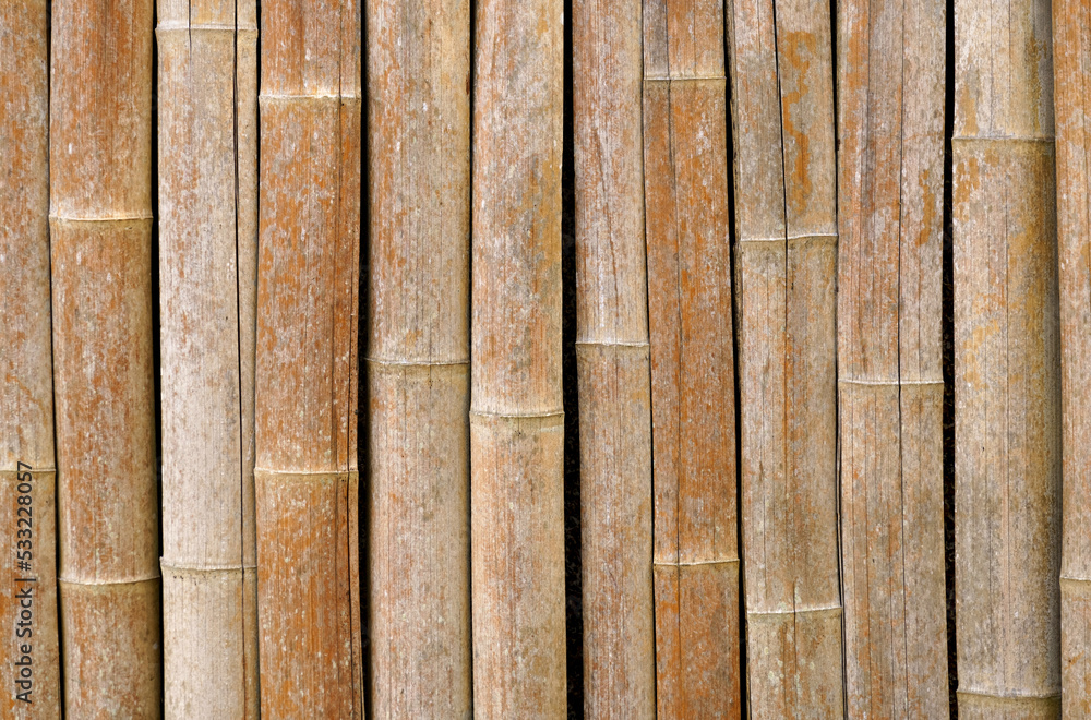 Dry bamboo wall texture background. Backgrounds and textures. Dry bamboo wall texture background. Backgrounds and textures.