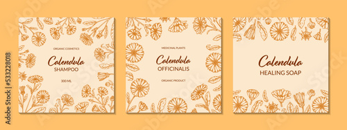 Set of calendula frames with hand drawn elements. Vector illustration in sketch style. Vintage packaging design